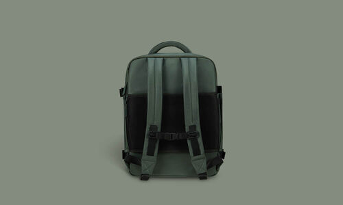 Back