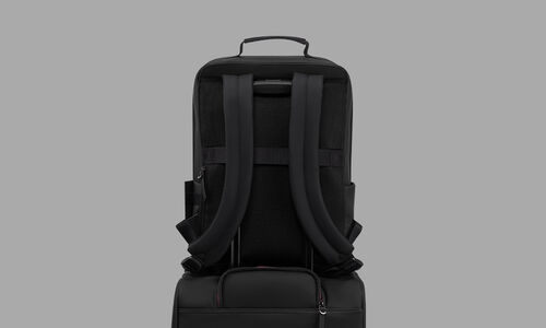 Back