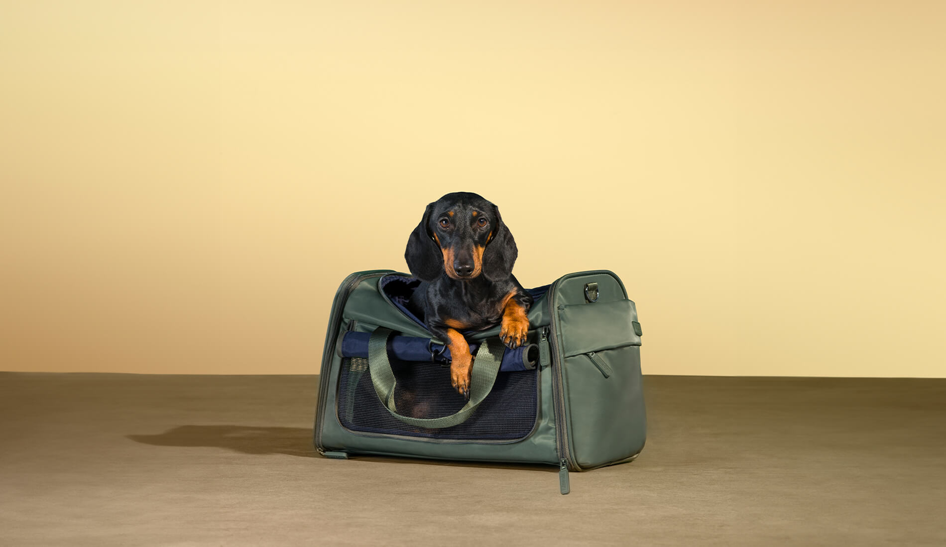 Sacs pour animaux